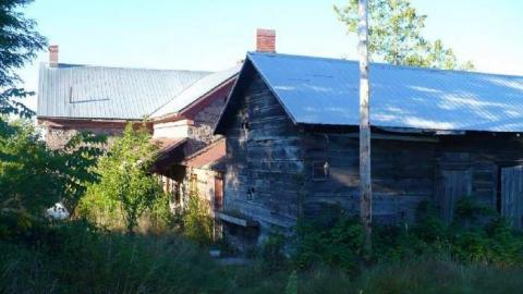 Stone Cold Blezard - P1130739.jpg