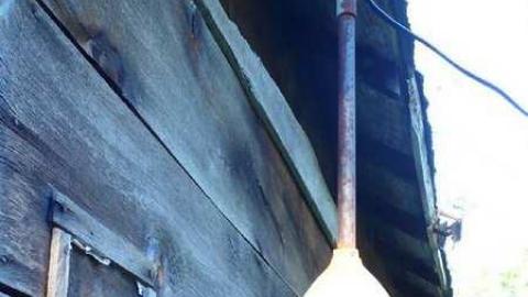 Stone Cold Blezard - P1130741.jpg