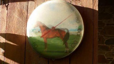 Stone Cold Blezard - P1130744.jpg