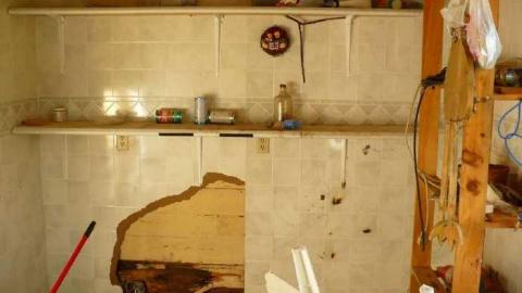 Stone Cold Blezard - P1130747.jpg