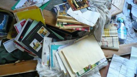 Stone Cold Blezard - P1130753.jpg