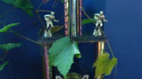 Stone Cold Blezard - P1130763.jpg