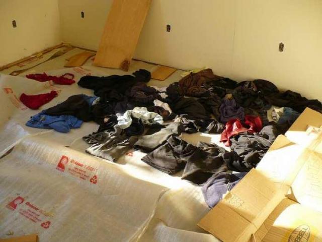 Blezard Warning - Otonabee-South Monaghan, Ontario