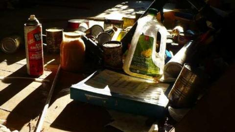 Stone Cold Blezard - P1130778.jpg