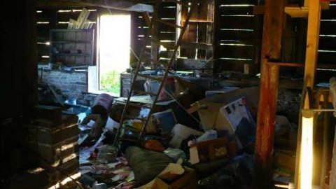 Stone Cold Blezard - P1130780.jpg