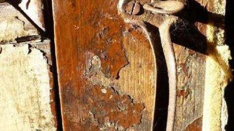 Stone Cold Blezard - P1130781.jpg