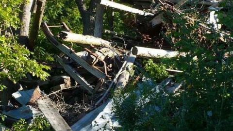 Stone Cold Blezard - P1130790.jpg