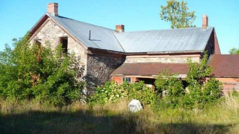 Stone Cold Blezard - P1130794.jpg