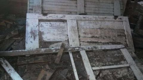 August 2013 - IMG551.jpg