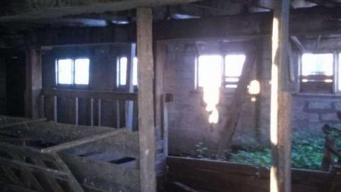 August 2013 - IMG549.jpg