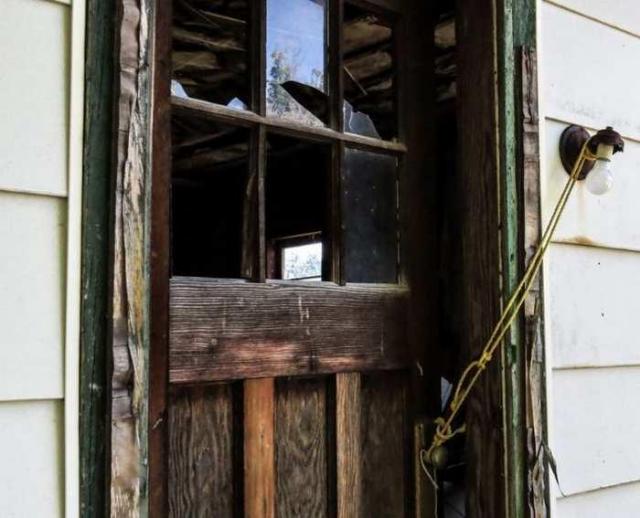 Under The Great Tree of Peace photo 2