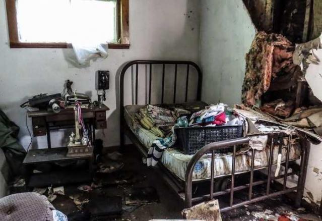 Under The Great Tree of Peace photo 5