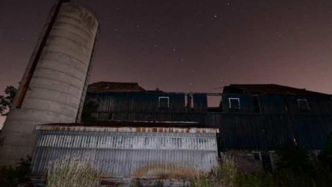 5th Line Beauty - North-Oakville-farm154.jpg