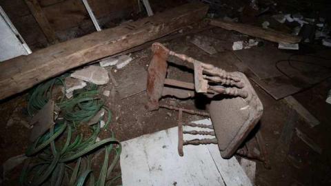 5th Line Beauty - North-Oakville-farm151.jpg