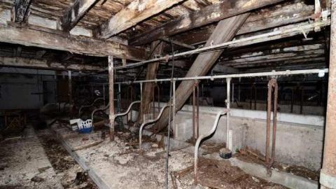 5th Line Beauty - North-Oakville-farm152.jpg