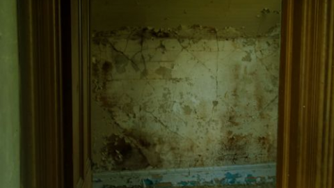 inside - Long-Island-in-Manotick104.png