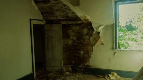 inside - Long-Island-in-Manotick105.png