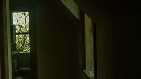 inside - Long-Island-in-Manotick108.png