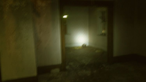 inside - Long-Island-in-Manotick116.png