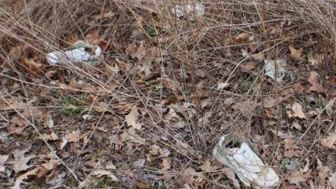 beware - Garner3.jpg