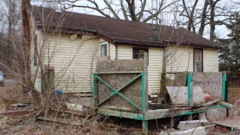 Hummingbird Steel House photo 3