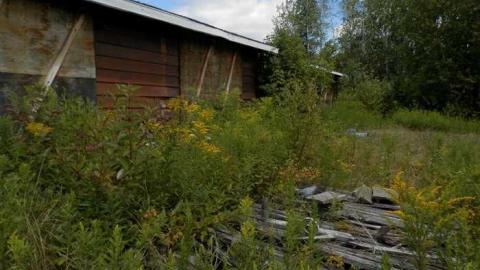 Photo from Algonquin Brent Access Hotel