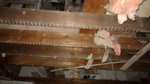 August 2013 - DSC02445.jpg