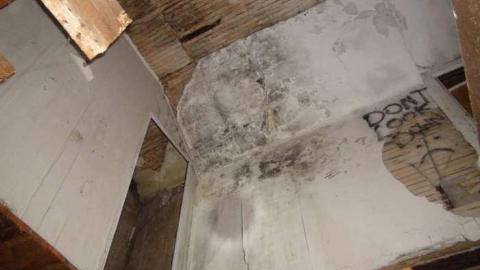 August 2013 - DSC02450.jpg