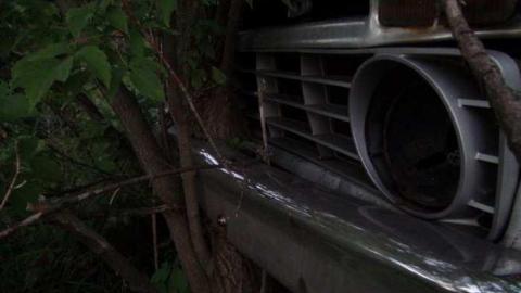 August 2013 - lxDSC02485.jpg