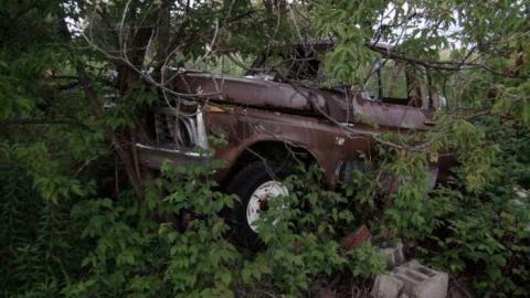 August 2013 - reDSC02486.jpg