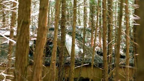 Auto Wreckers - Milton, Ontario