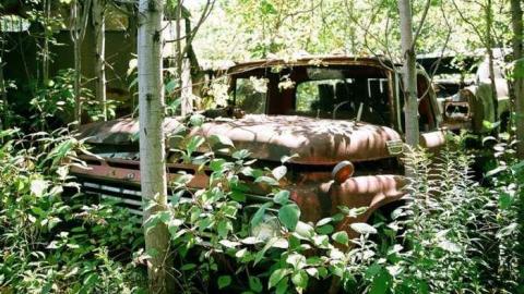 Auto Wreckers photo 4