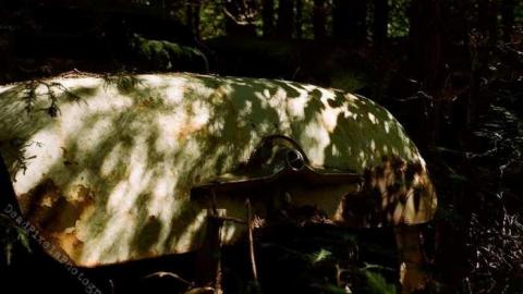 23/8/2013 - Auto-Wreckers57.jpg