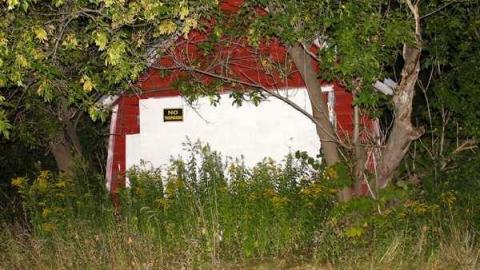 Evening Visit - IMG_7572.jpg