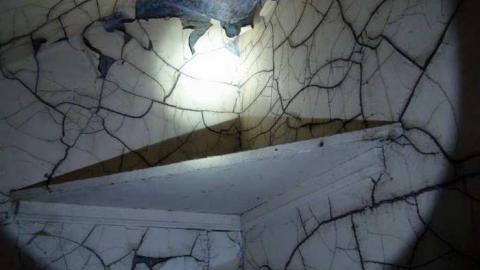 August 2013 - 8th-Line-Farm59.jpg