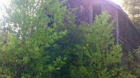 2013 iron bridge house - Iron-Bridge-House-151.jpg