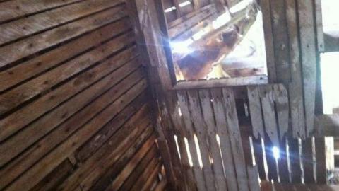 Daigle House 2013 - Daigle-House68.jpg