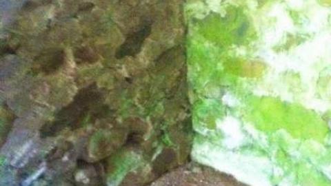 Daigle House 2013 - Daigle-House61.jpg