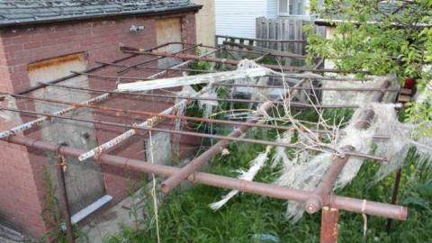 Side by Side - IMG_1335.jpg