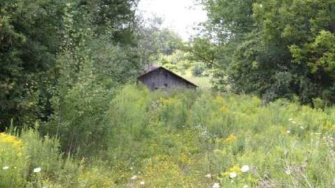 Eli Barclay House - Eli-Barclay-House17.jpg