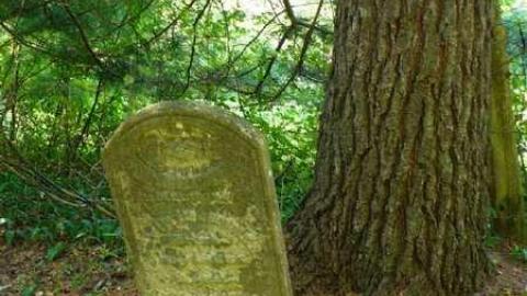 Matthiasville - Matthiasville7.jpg