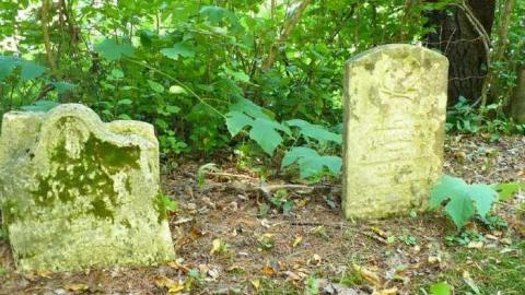 Photo from Matthiasville