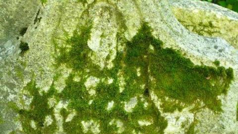 Matthiasville - Matthiasville9.jpg