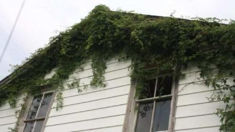 JW Clarke House, Kinsale - JW-Clarke-House,-Kinsale5.jpg