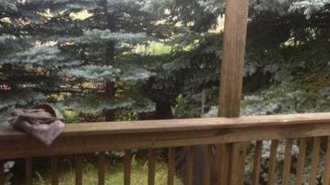 Aug2013 - Damned-Developers46.jpg