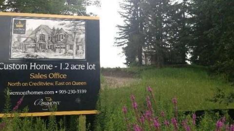 Aug2013 - Damned-Developers47.jpg