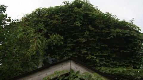 Photo from JW Clarke House, Kinsale