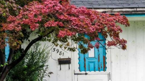 The Third of Three - 12.jpg