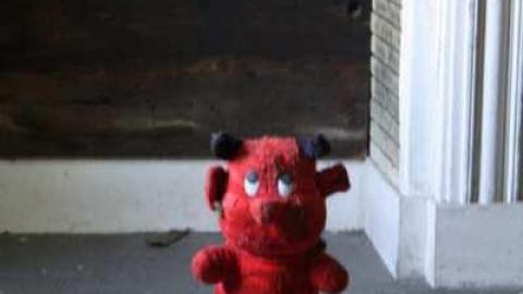 JW Clarke House, Kinsale - JW-Clarke-House,-Kinsale14.jpg