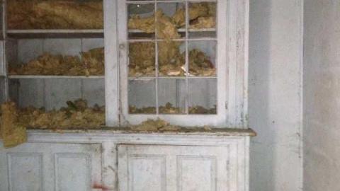 August 2013 - vbimage.jpg